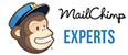MailChimp experts